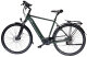 e-Bicikl MS ENERGY eBike C501 (Veličina M)